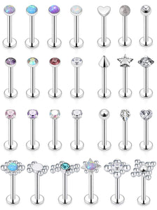 27 Pcs Stainless Steel Lip Piercings