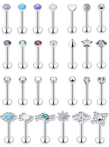 27 Pcs Stainless Steel Lip Piercings